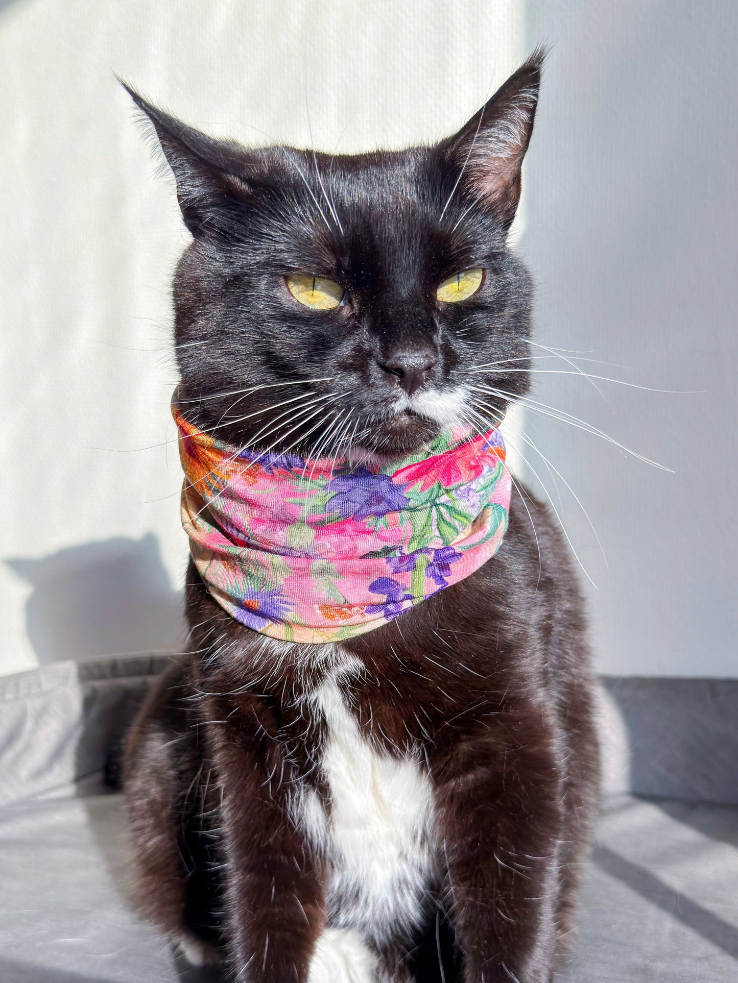 Garden Party pet scarf