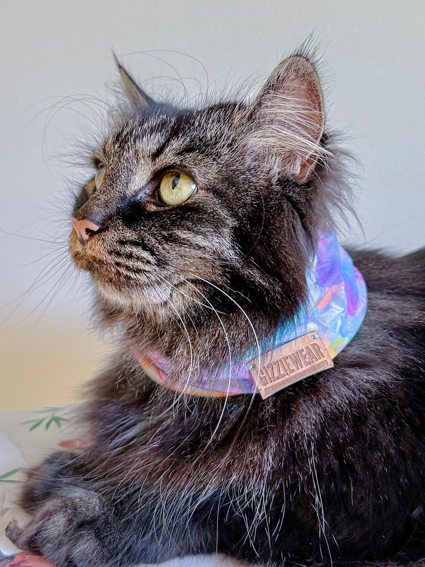 Fairy Flowers pet scarf