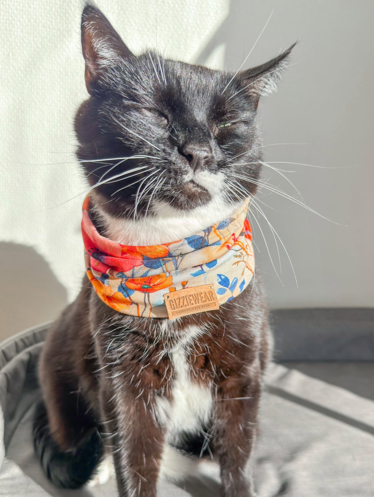 Sunset Petals pet scarf