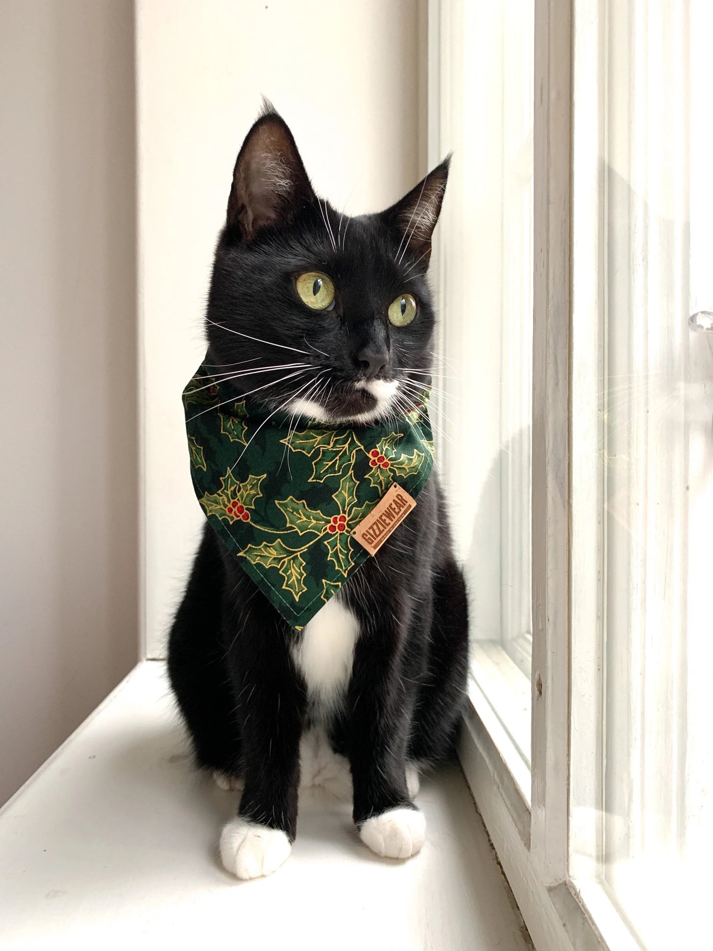 Green Christmas pet bandana