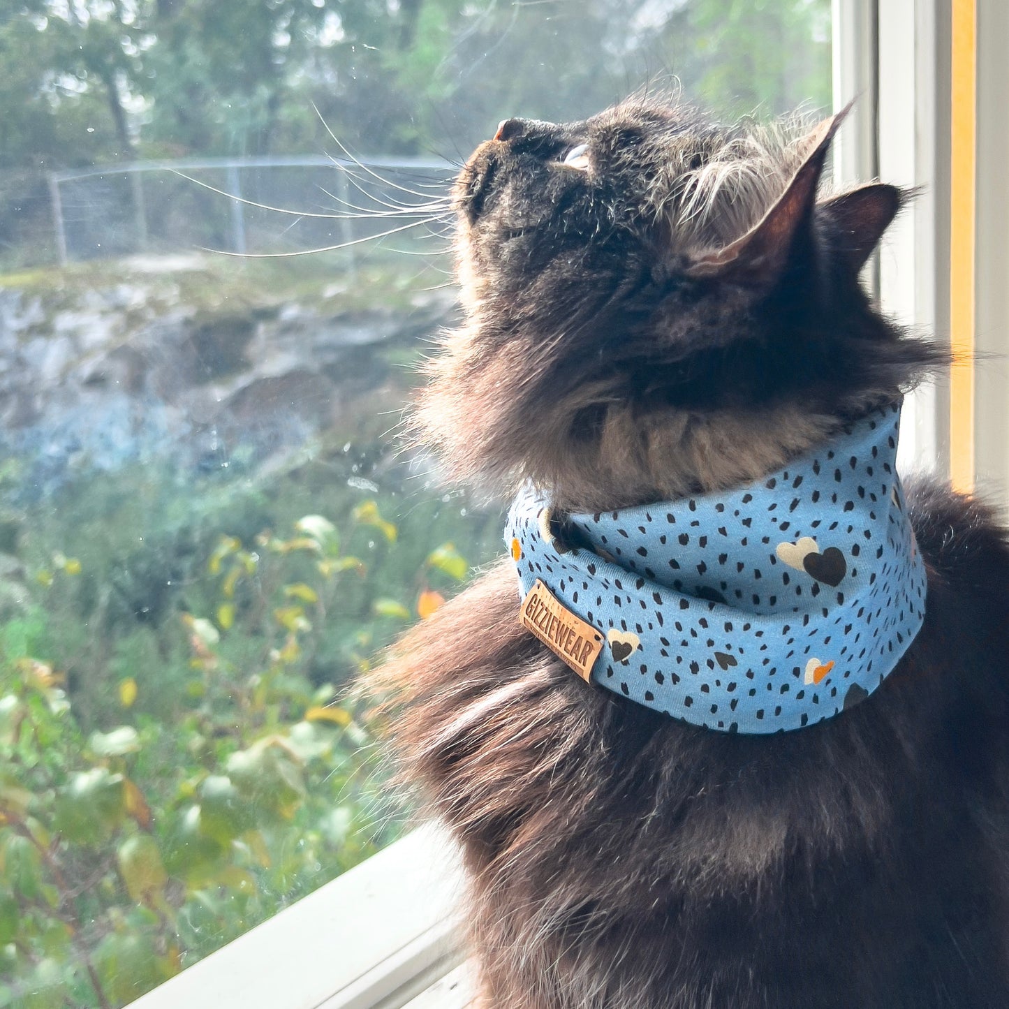 Raindrop Hearts pet scarf