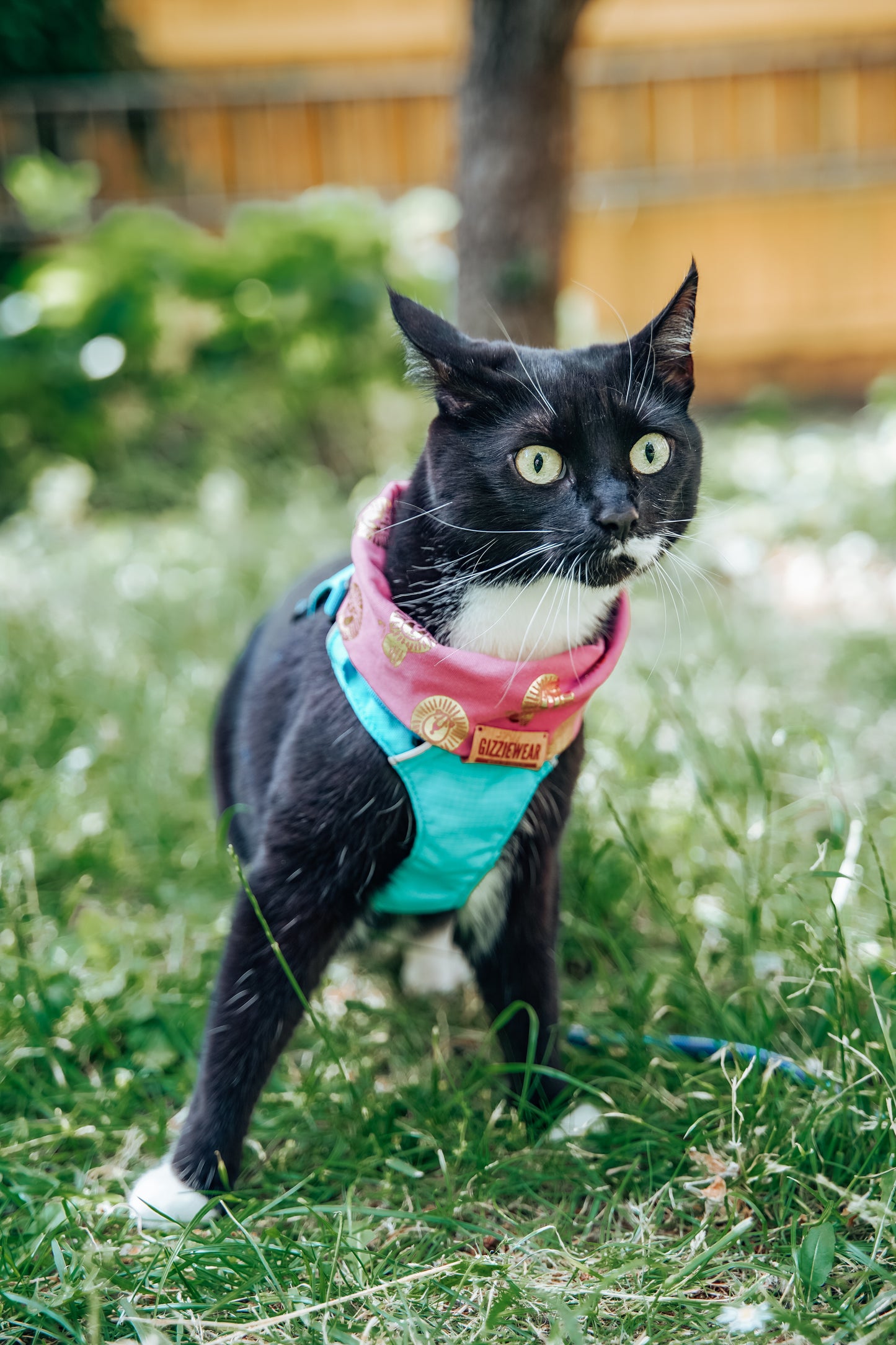 Pink Roar pet scarf