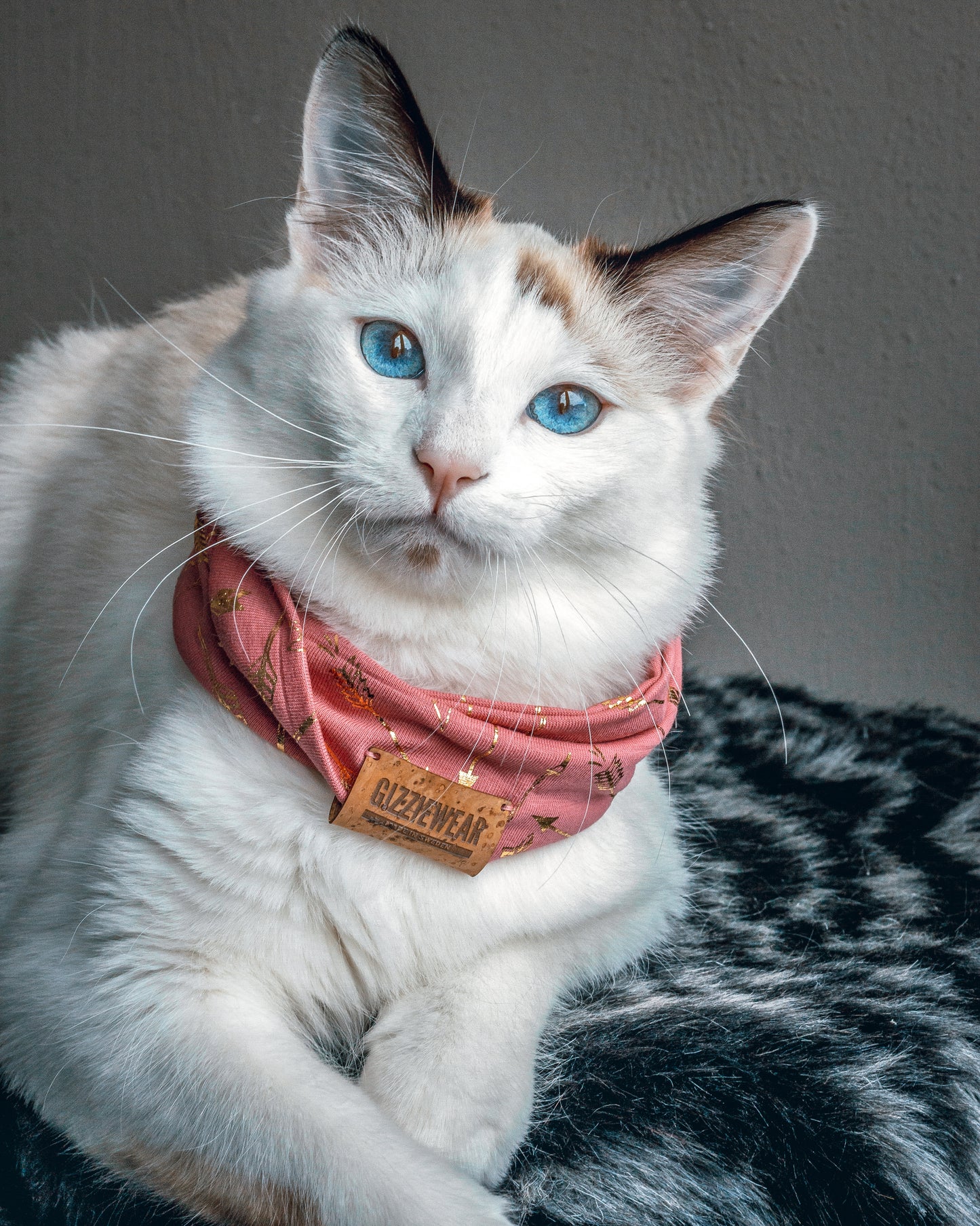 Princess Amore pet scarf