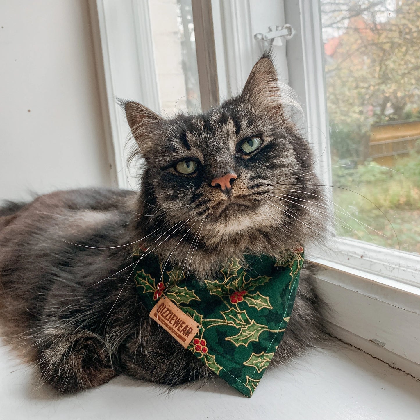 Green Christmas pet bandana