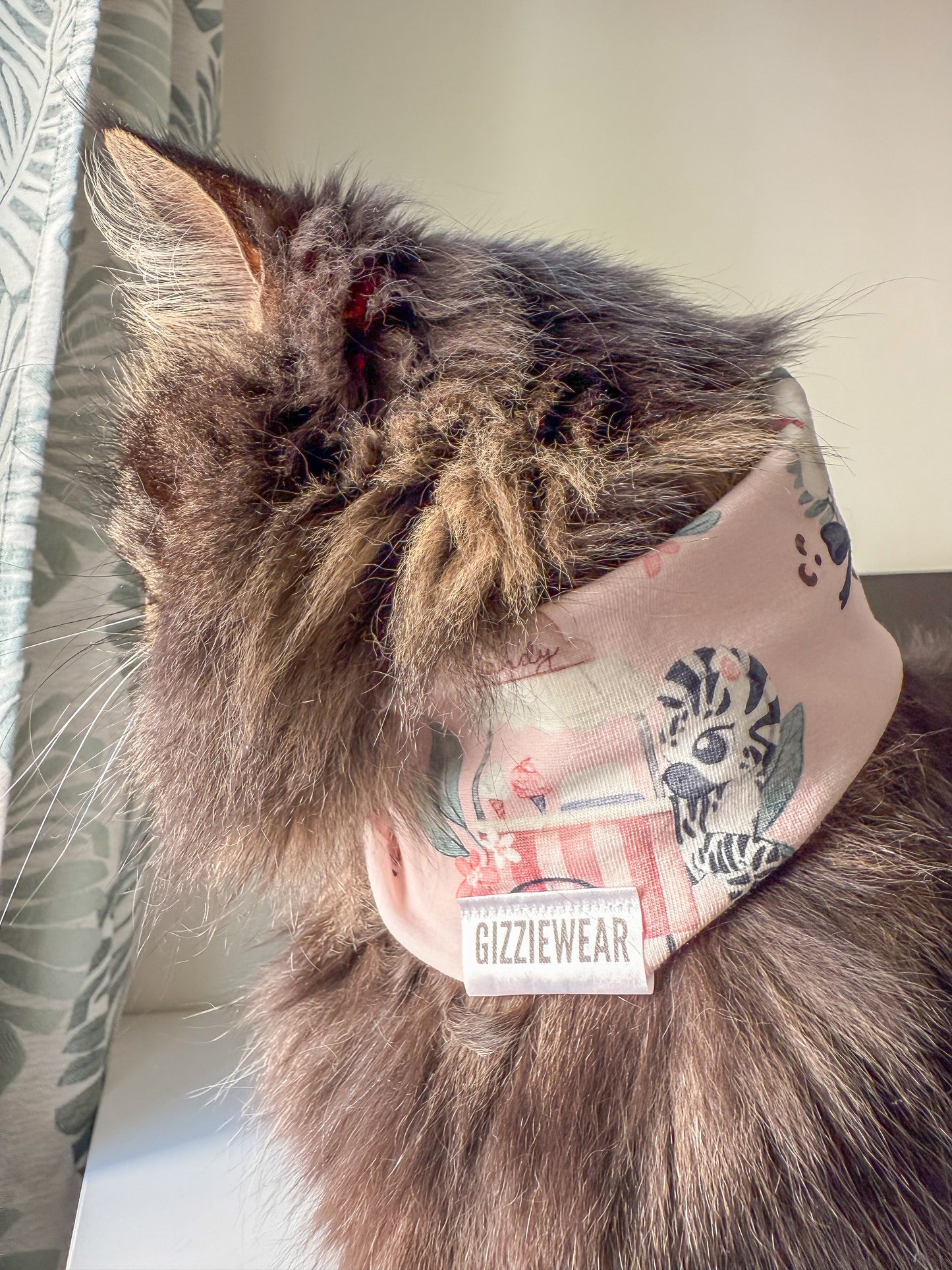Ice Cream Shop pet scarf