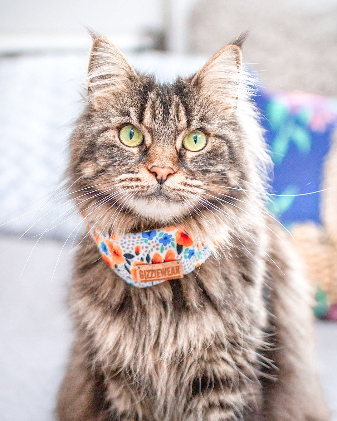 Midsummer Flower pet scarf