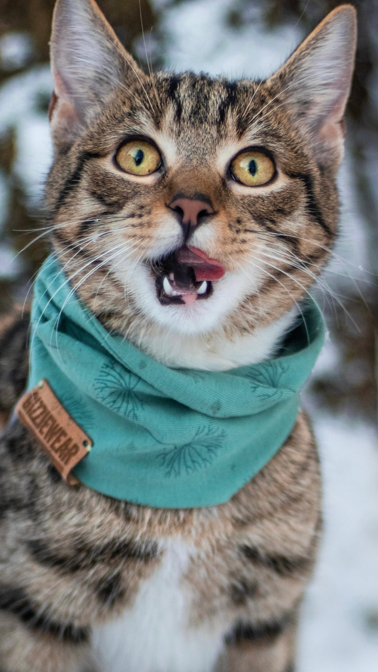 Green Dandelion pet scarf