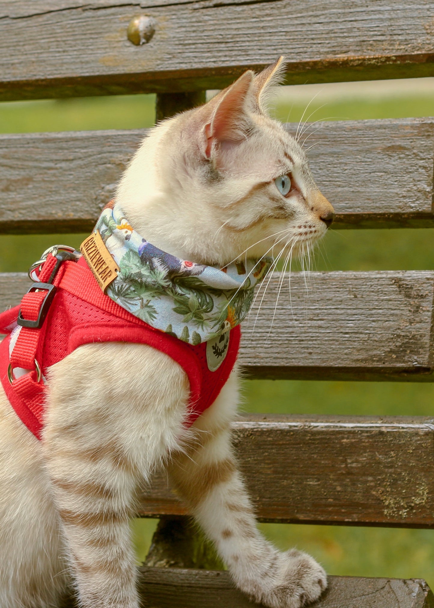 Tropical pet scarf