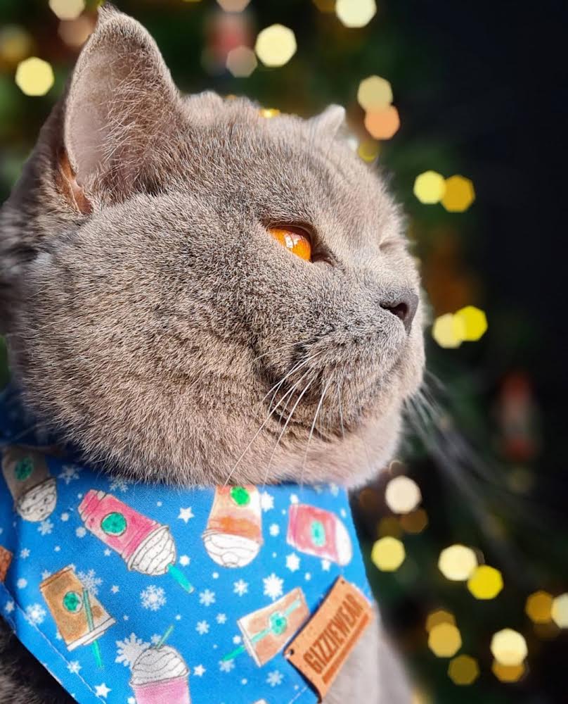 Christmas Coffee pet bandana