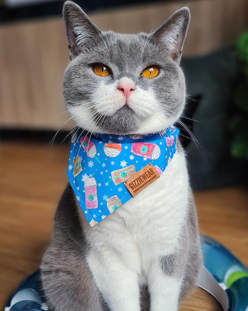 Christmas Coffee pet bandana