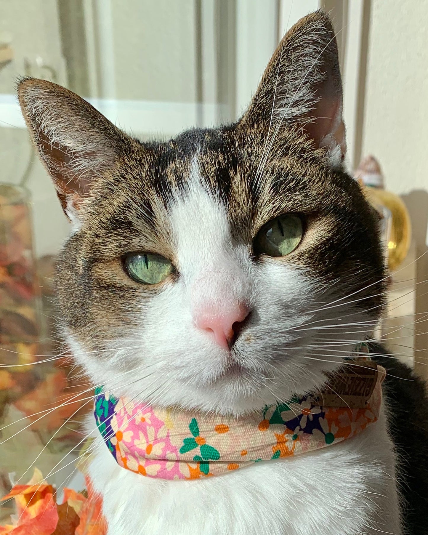 Daisy Daydream pet scarf