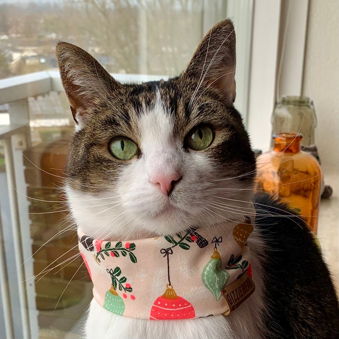 Holiday Cheers pet scarf