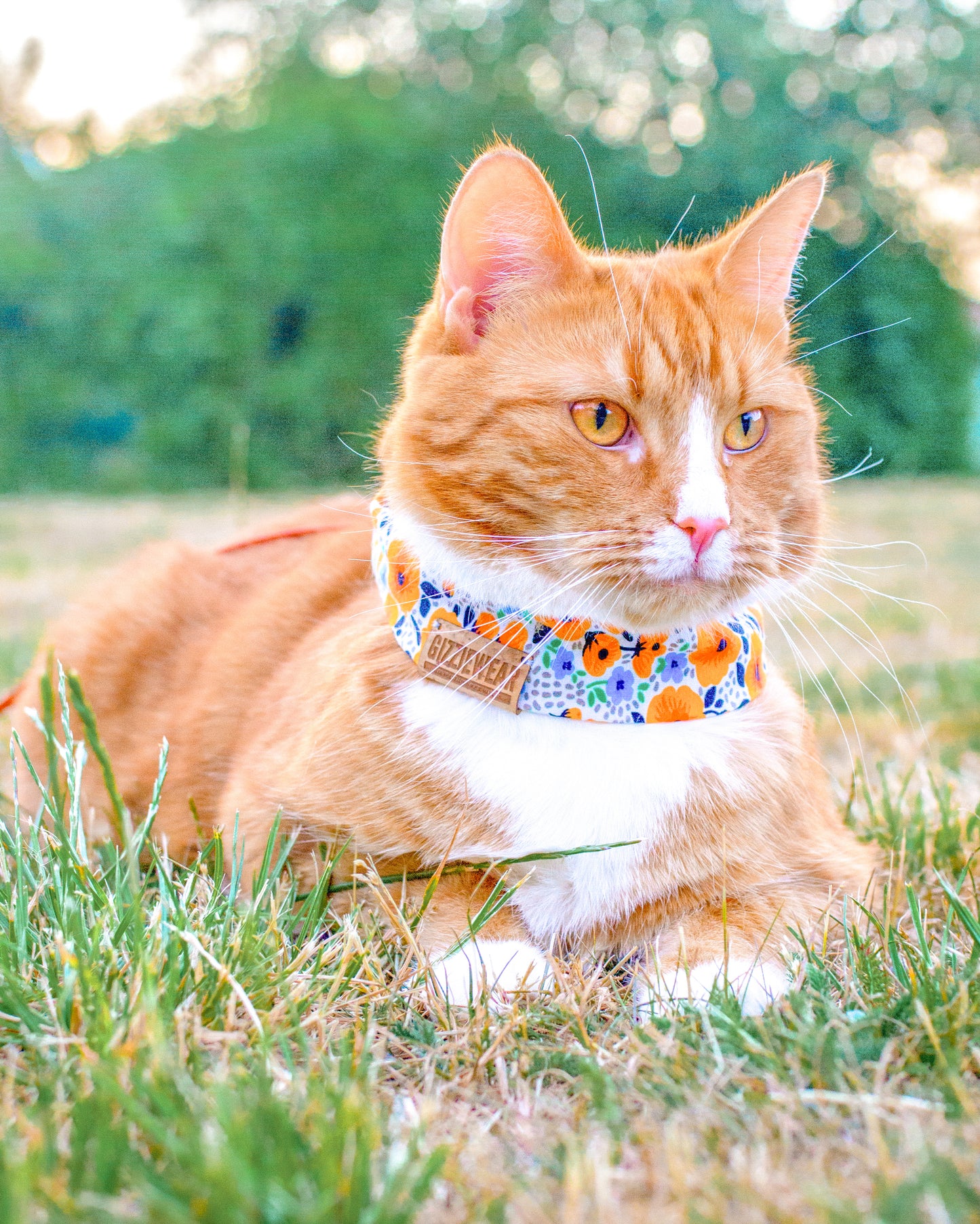 Midsummer Flower pet scarf