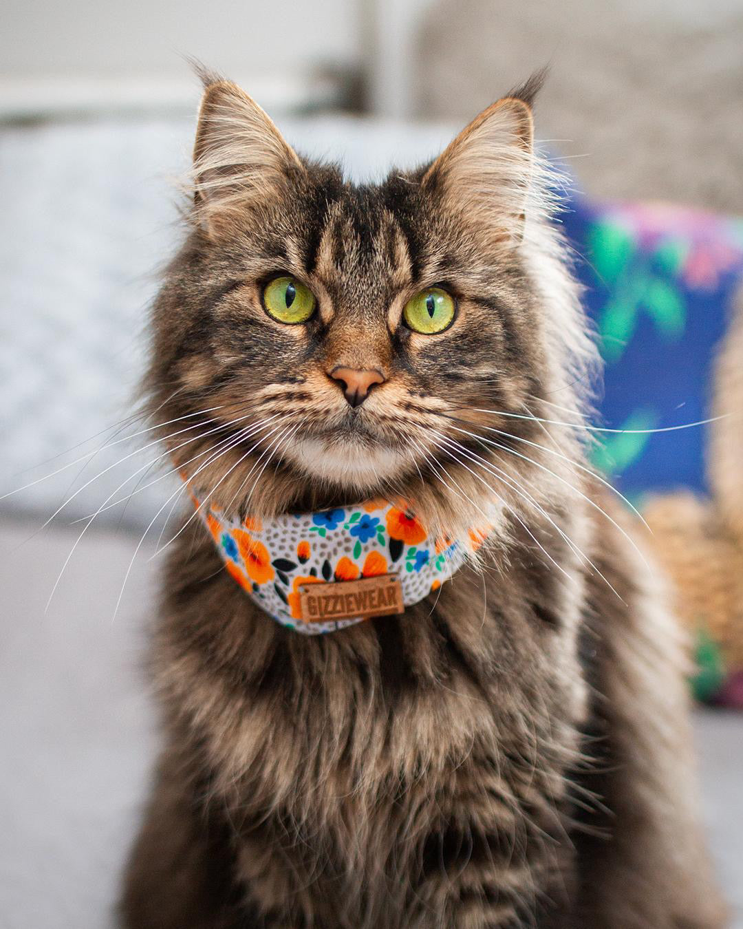 Midsummer Flower pet scarf