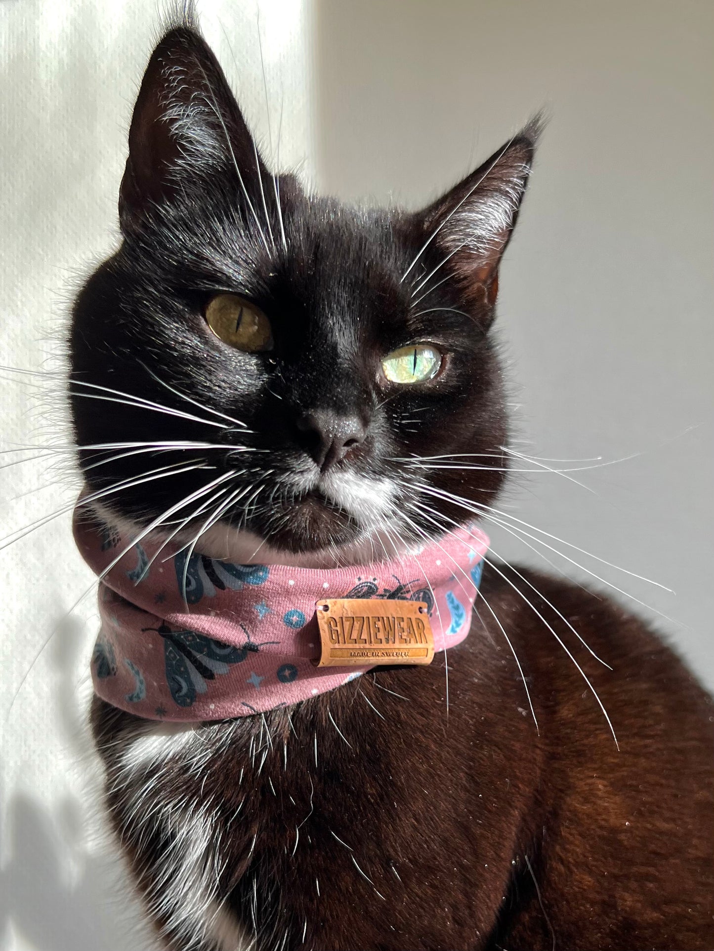 Pink Butterflies pet scarf