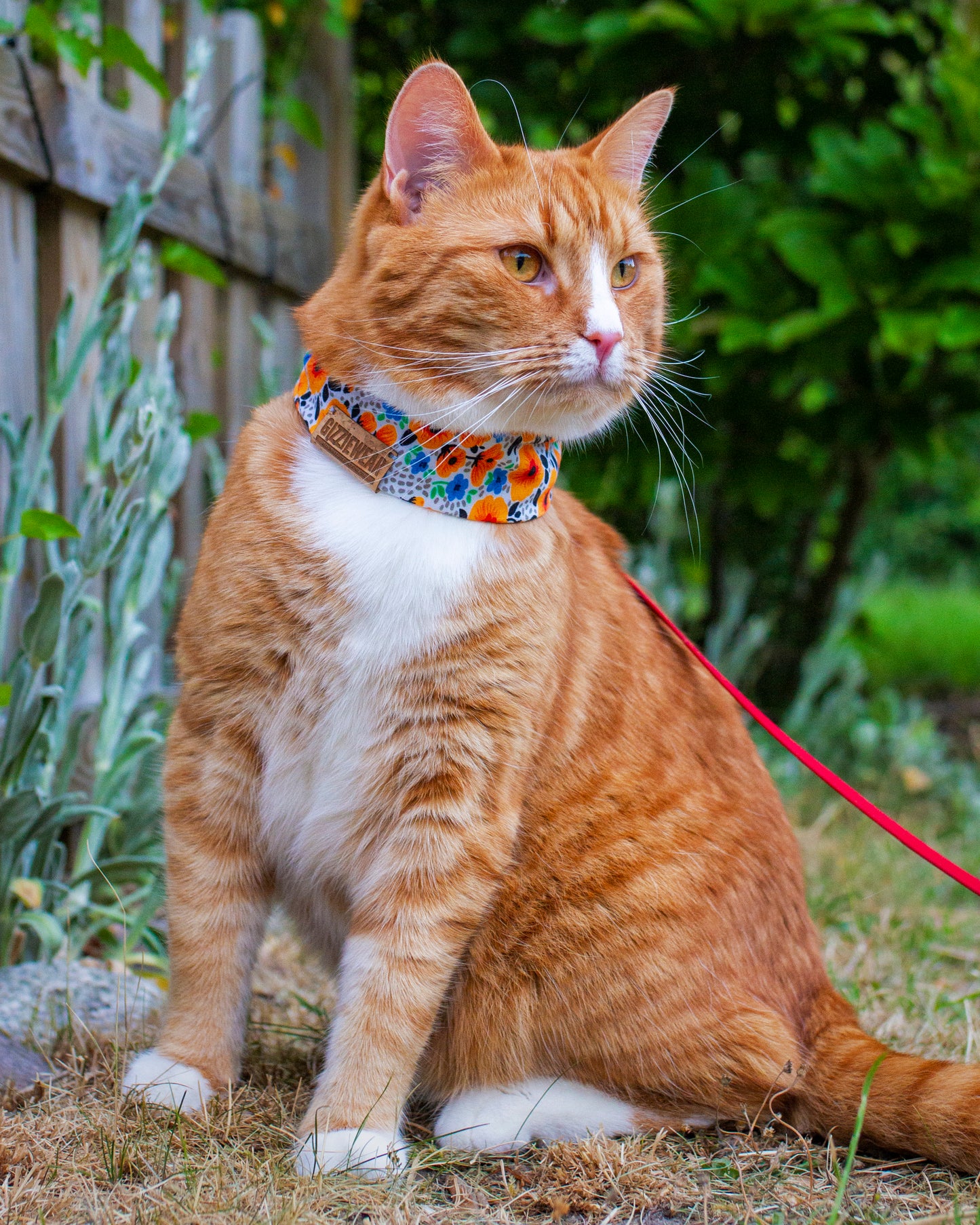 Midsummer Flower pet scarf