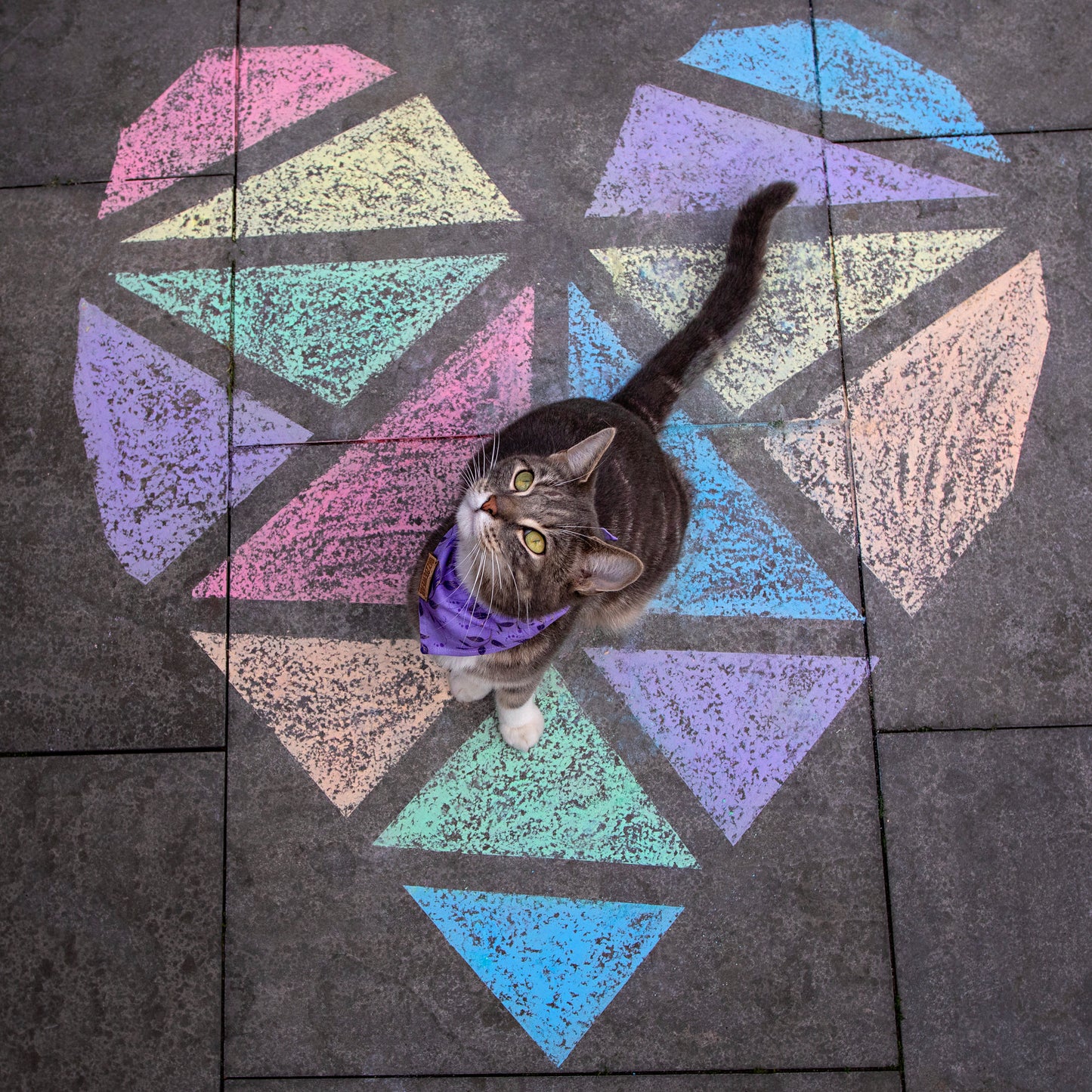 Magical Forest pet bandana