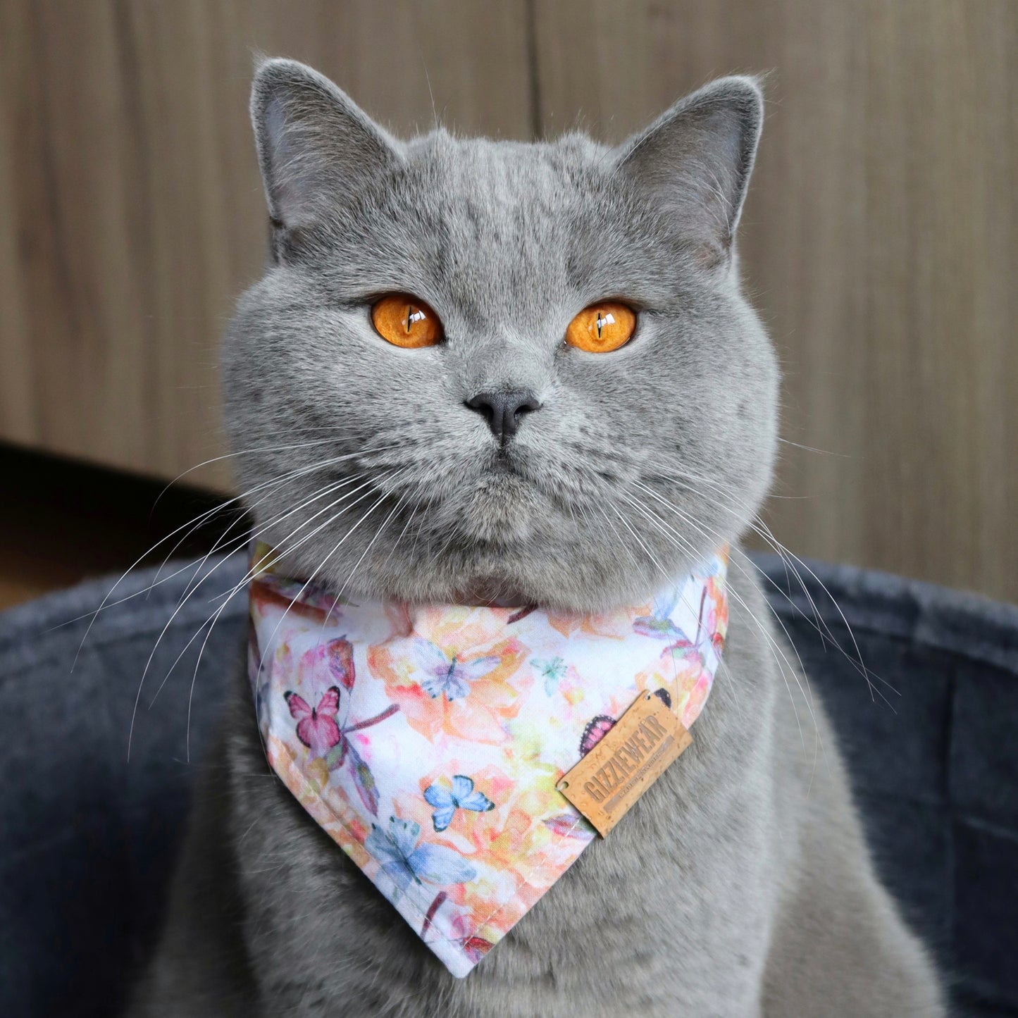 Wonderland pet bandana