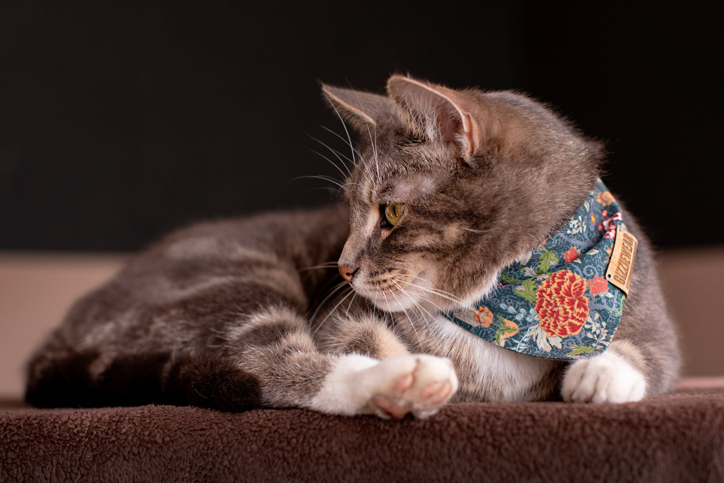 Happy Fall pet bandana