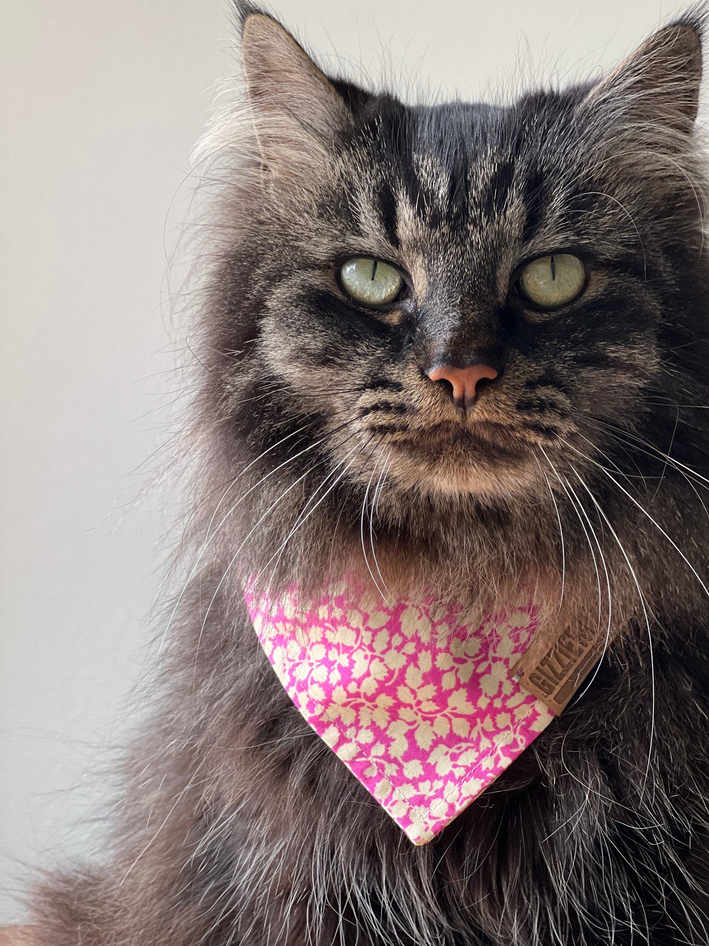 Pinky Blooming pet bandana