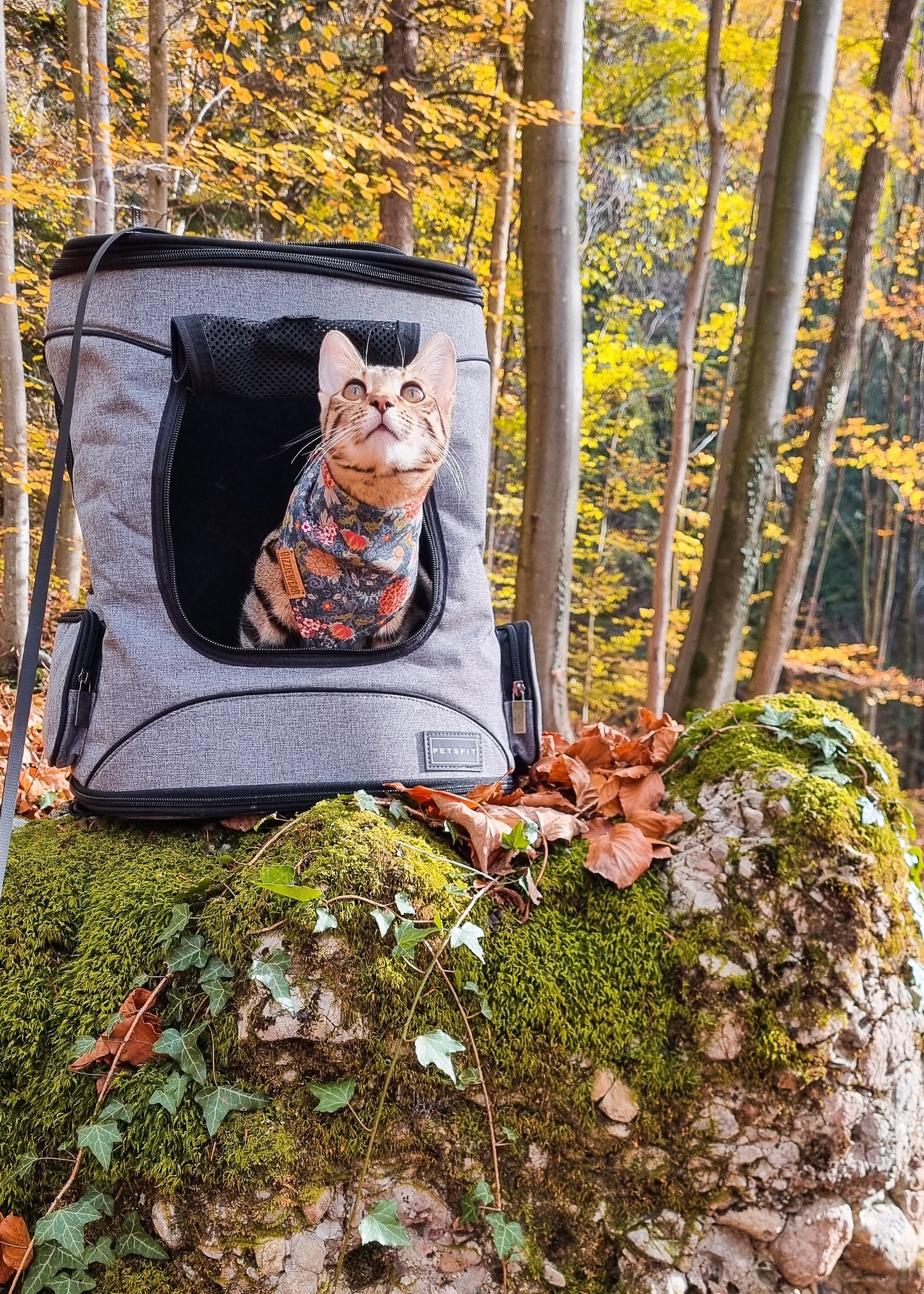 Happy Fall pet bandana