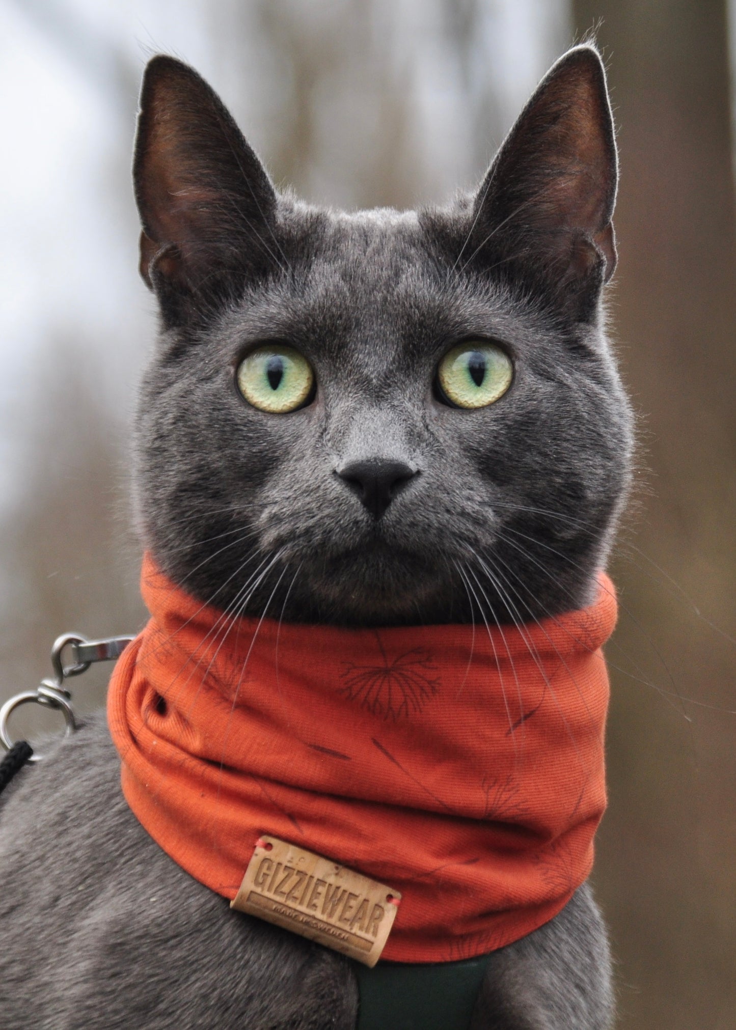 Orange Dandelion pet scarf