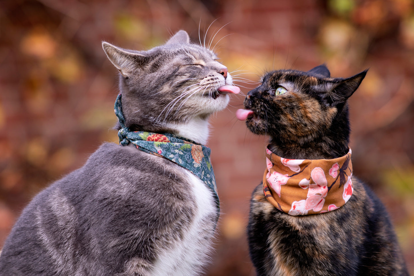 Fall Flower pet scarf