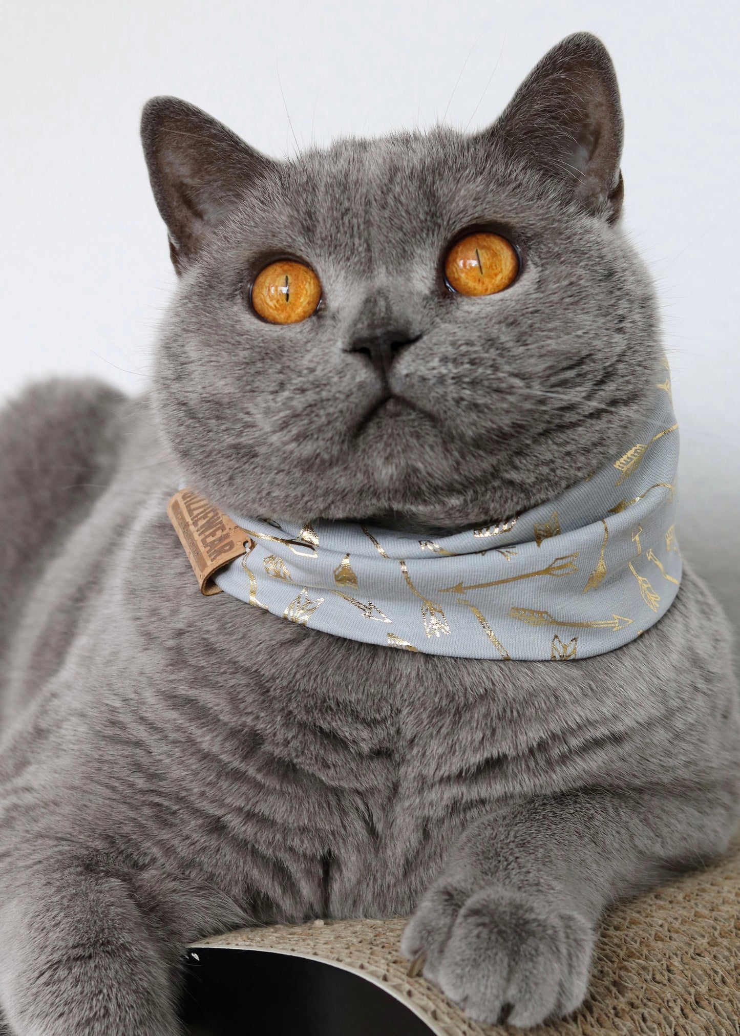 Grey Amore pet scarf