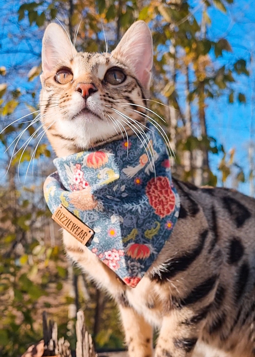 Happy Fall pet bandana