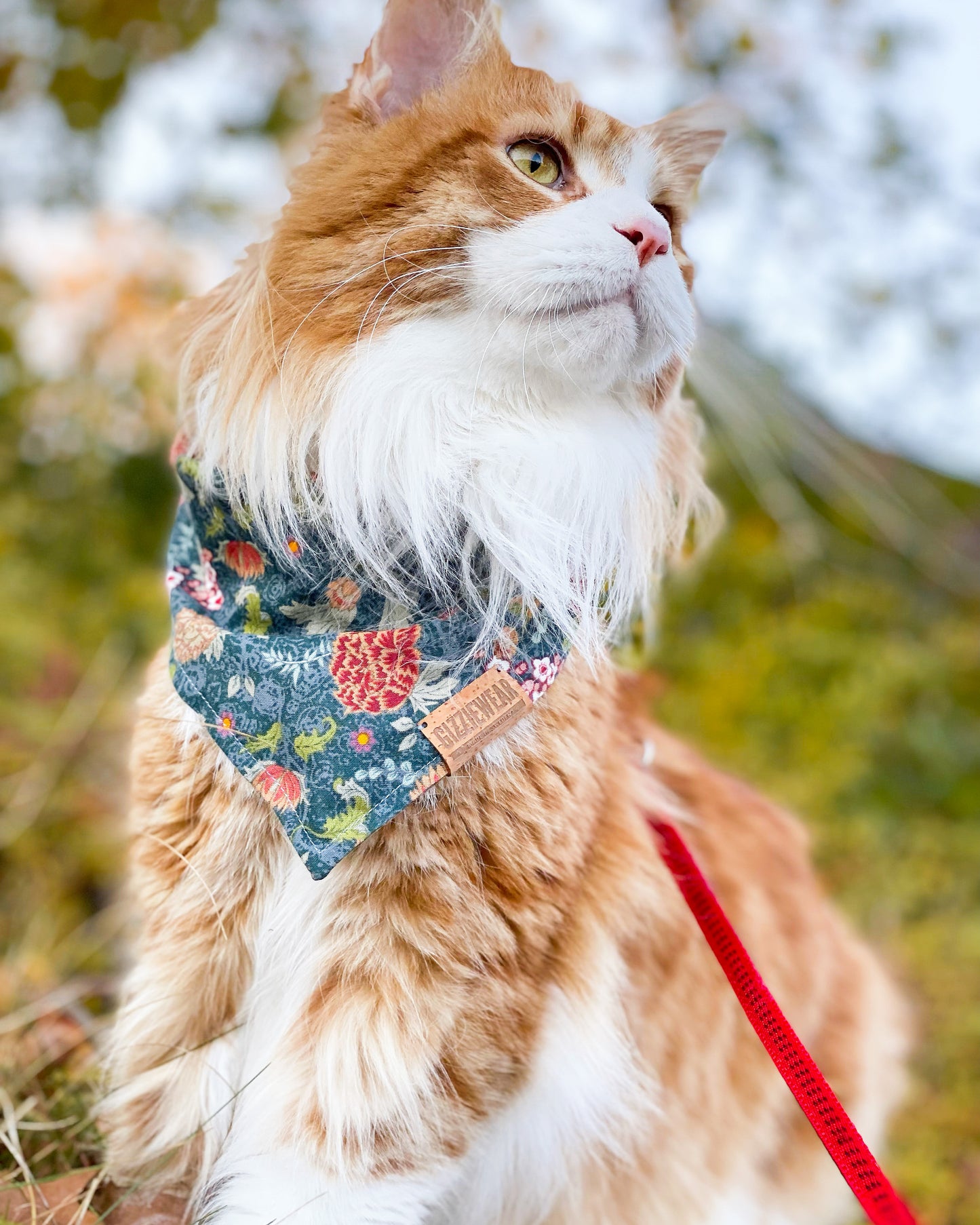 Happy Fall pet bandana