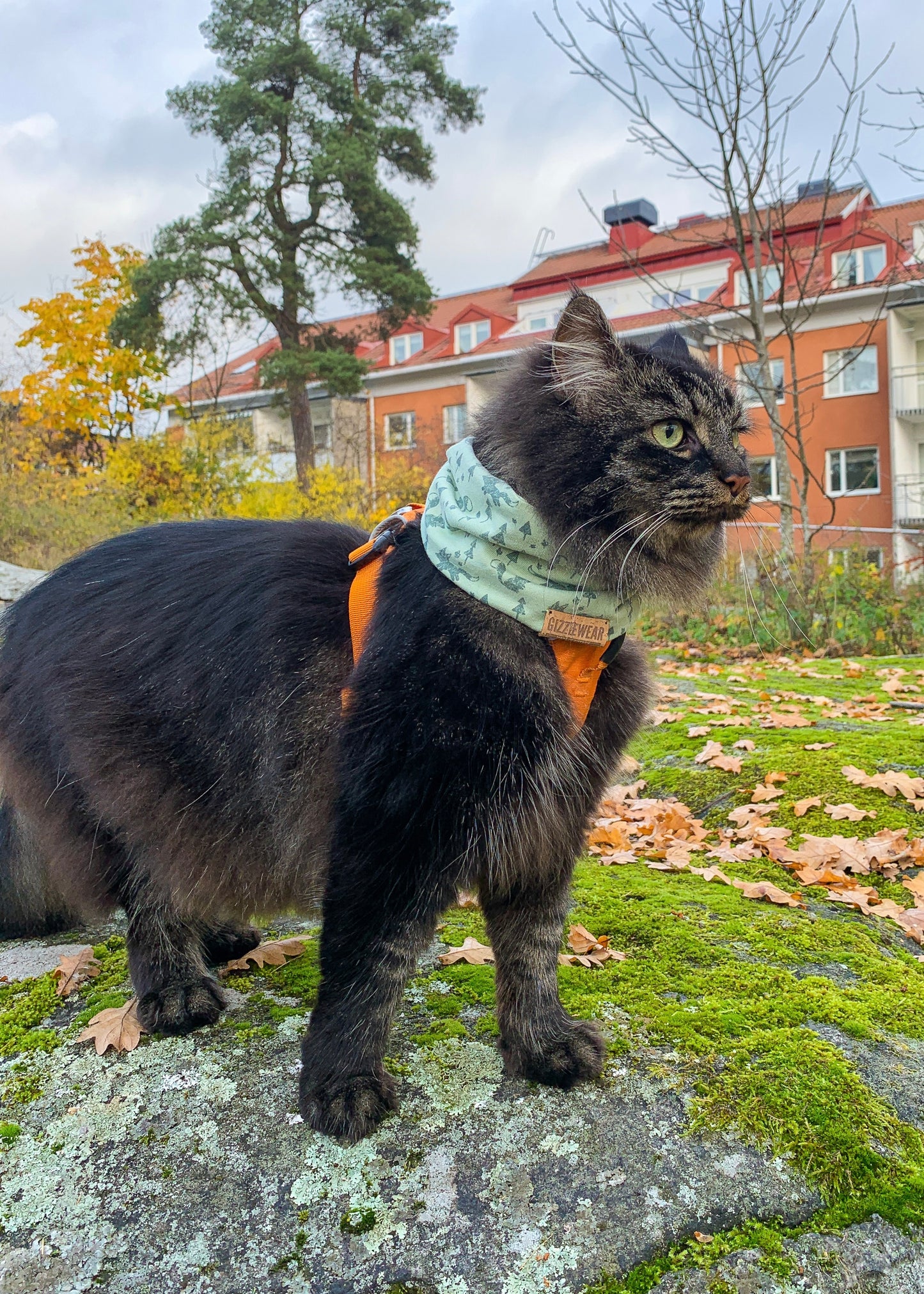 Mint Fox pet scarf