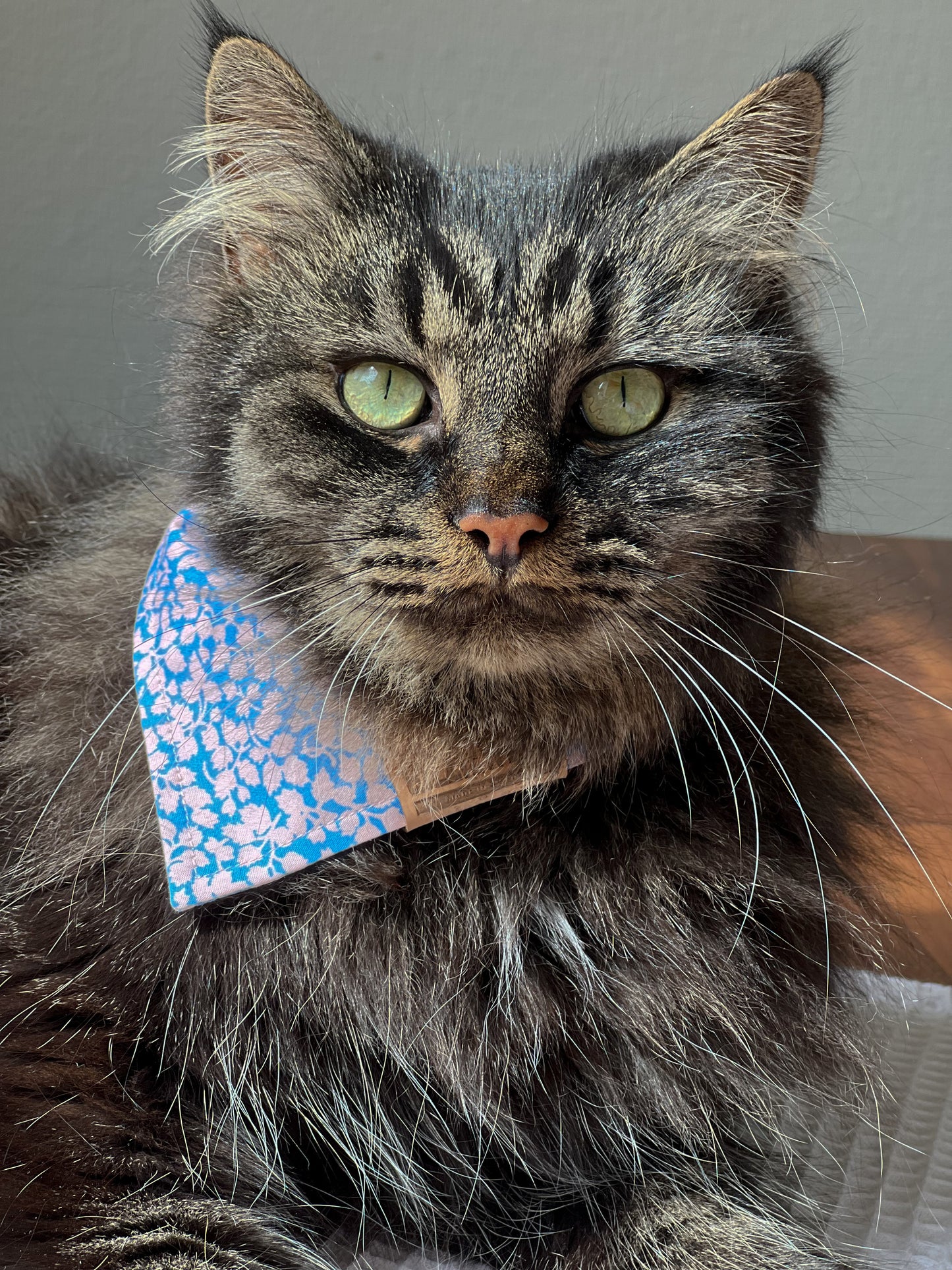 Blue Blooming pet bandana