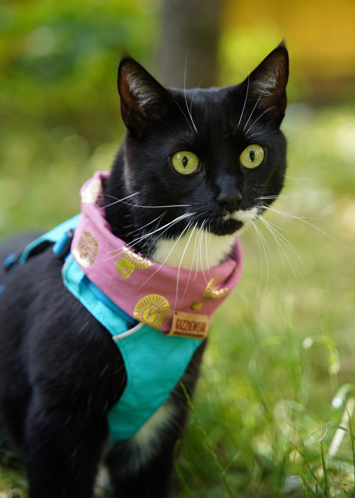 Pink Roar pet scarf