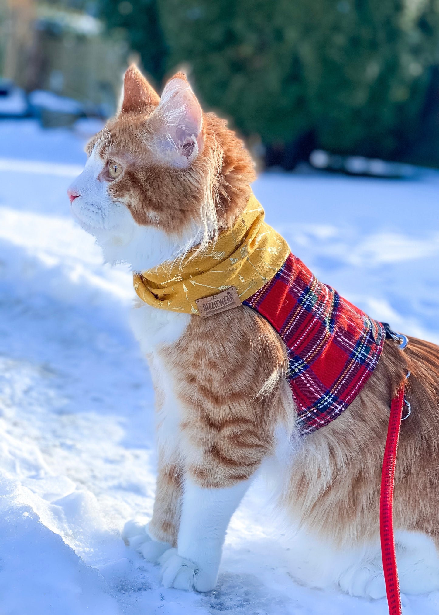 Golden Amore pet scarf