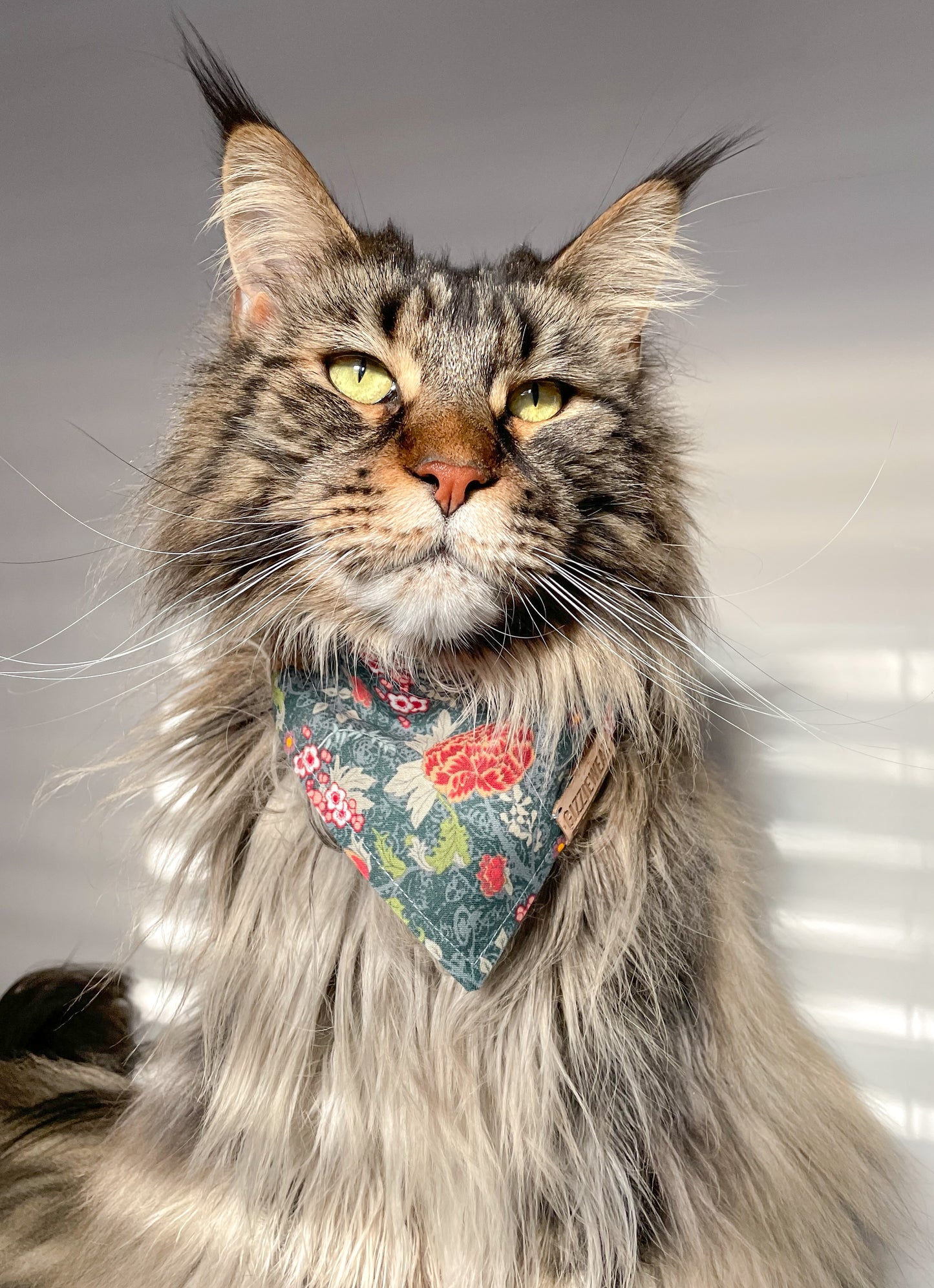 Happy Fall pet bandana