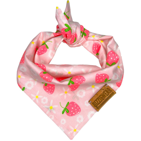 Strawberry pet bandana