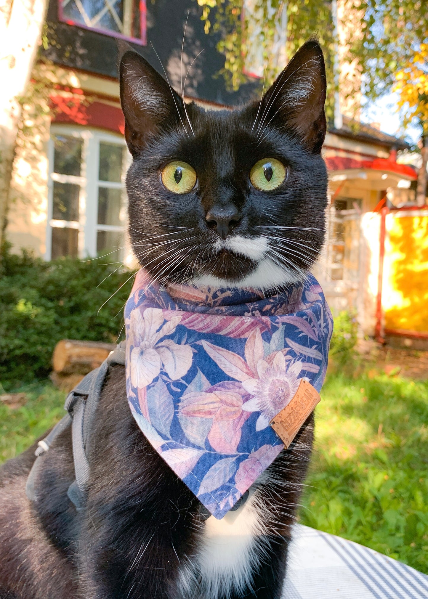 Passiflora Bouquet pet bandana